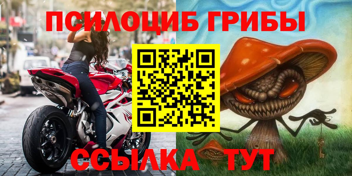 Псилоцибиновые грибы Psilocybe  Вход с VPN  Галлюциногенные грибы мицелий  Первоуральск 